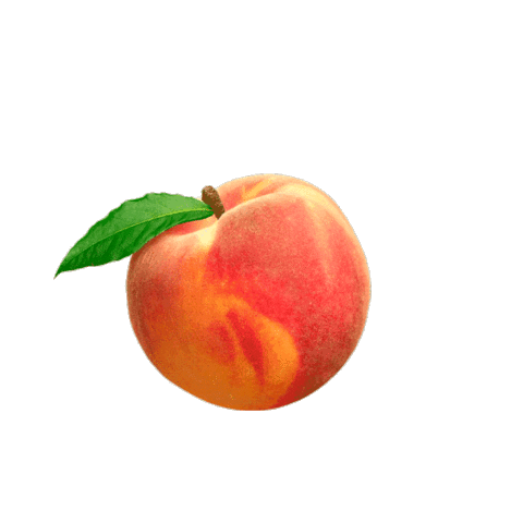 Orange Sticker
