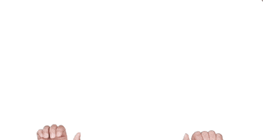 wernerharrer GIF