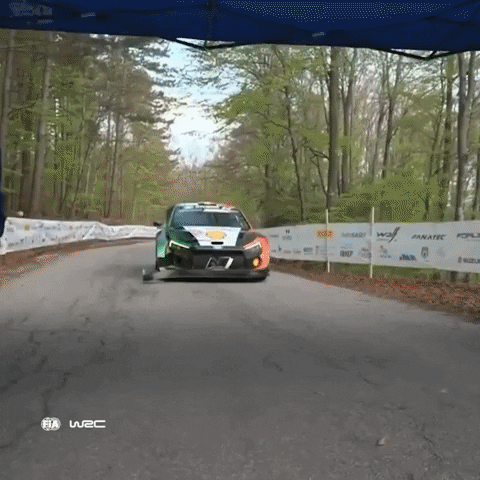 Fail Ford GIF by FIA World Rally Championship