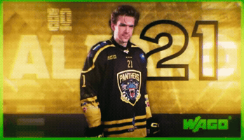 Ice Hockey Panthers GIF