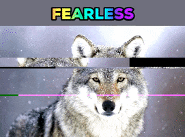 wolf fearless GIF