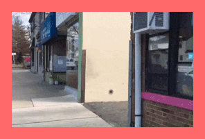 Fid0 GIF