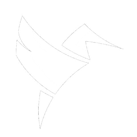 Codifly Sticker