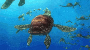 Finding Nemo Swimming GIF by Disney