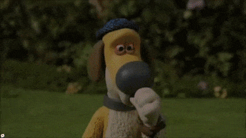 Dog GIF