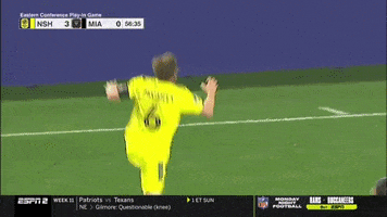 Mls Cup Playoffs Soccer GIF by Nashville SC