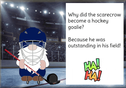 Funny Gifs : hockey GIF 