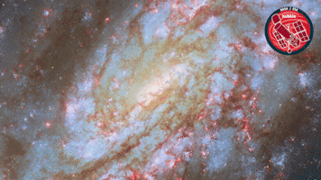 Spiral Galaxy Universe GIF by ESA/Hubble Space Telescope