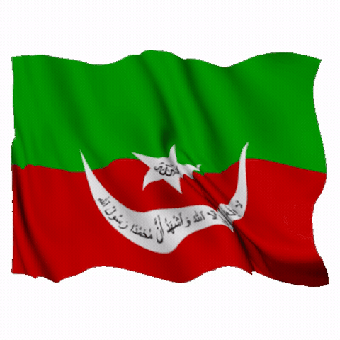 Flag Iran GIF