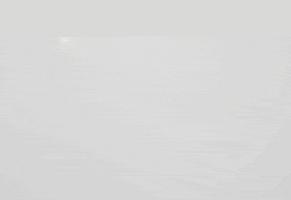 Fitwins GIF