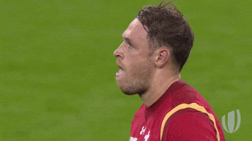 no problem yes GIF by World Rugby