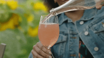 Nbc Wine GIF by Late Night with Seth Meyers