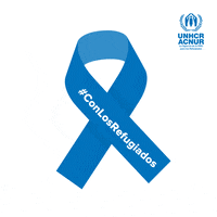 Naciones Unidas Inclusion GIF by UNHCR, the UN Refugee Agency