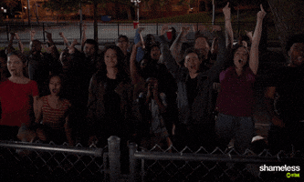 Season 9 Showtime GIF by Shameless