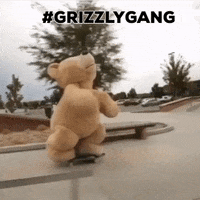 GIF by Torey Pudwill