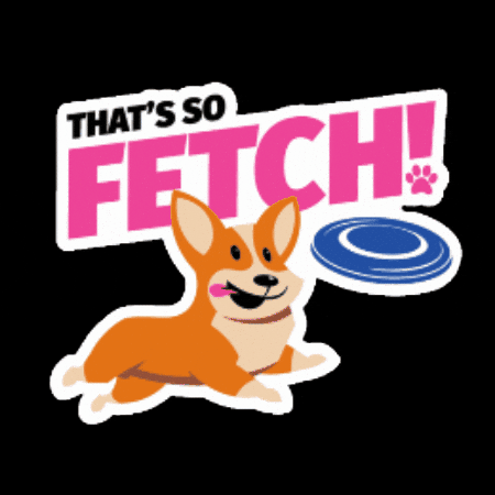 GIF by Global Pet Expo