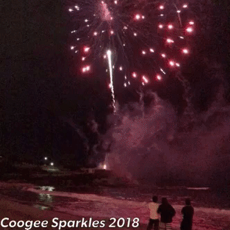 Happy New Year Coogee GIF