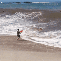running into the waves fail gif running into the waves fail gif