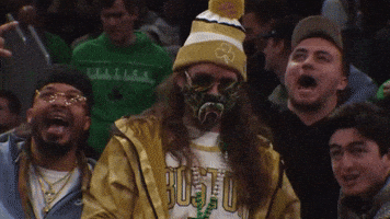 Fans Boston GIF
