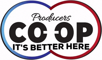 producerscoop feed coop cattle Producers GIF