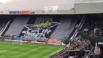 Newcastle GIF
