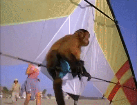 Monkey Trouble Fly Gif By Garbage Party Find Share On Giphy The perfect monkeyspinning holdinghands monkeysquad animated gif for your conversation. monkey trouble fly gif by garbage party