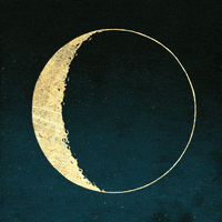 Moon-phases GIFs - Get the best GIF on GIPHY