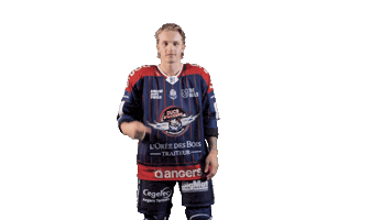 Ducs2026 Sticker by Les Ducs d'Angers