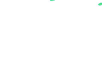 Green Sticker
