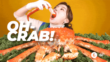 Food Puns Oh Crab GIF by 8it