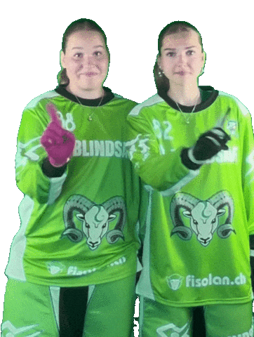 Kdjetsu21 Sticker by Kloten-Dietlikon Jets