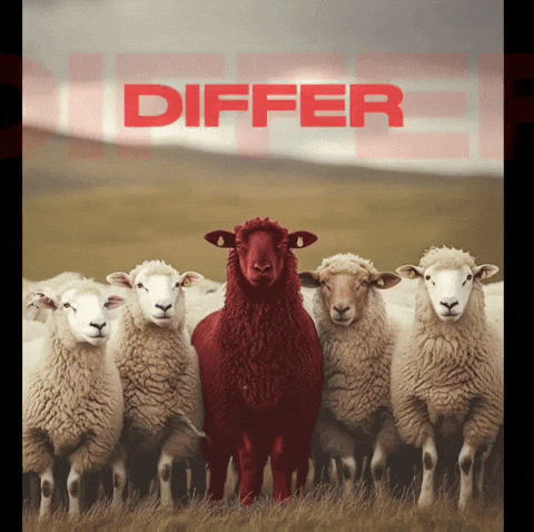 Differ Clothing Brand GIF