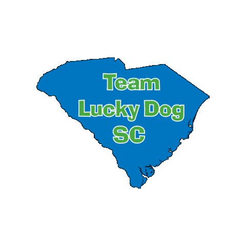 Scldar Sticker by Lucky Dog Animal Rescue