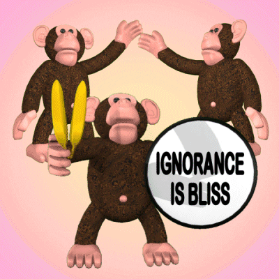 Ignore Ignorance Is Bliss GIF