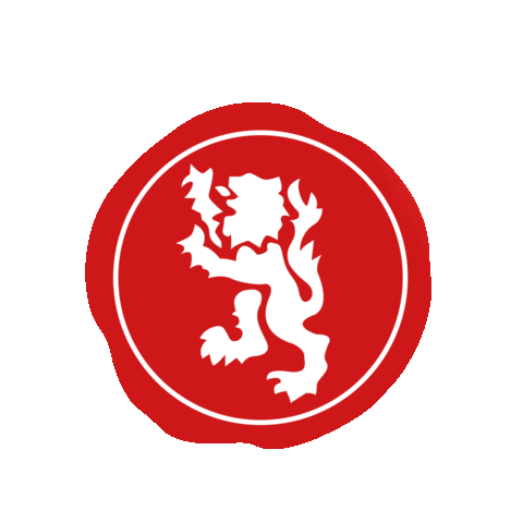 dragomocambo Sticker