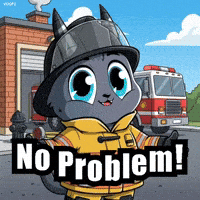 No Problem G GIF