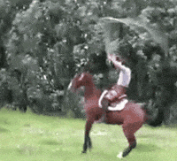 Featured image of post Man Falling Off Horse Gif