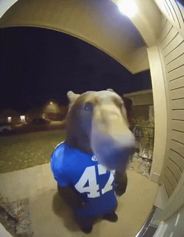 Byu Football GIF