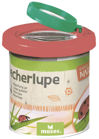 moses. Verlag Sticker