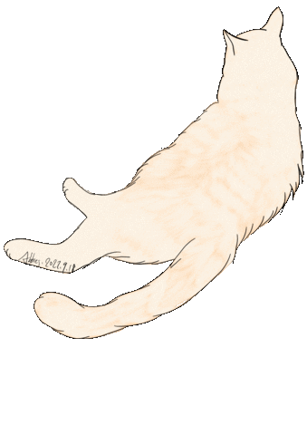 Cat Justin Sticker