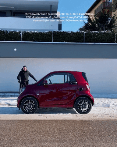 Car Snow GIF by smart