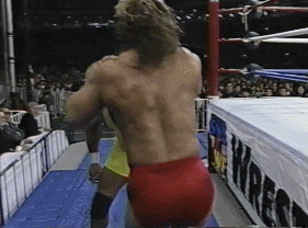 Wwe GIF