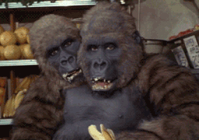 gorillas GIF