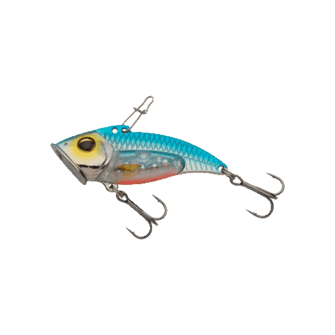 Bait Rattling Sticker by Catch More Fish