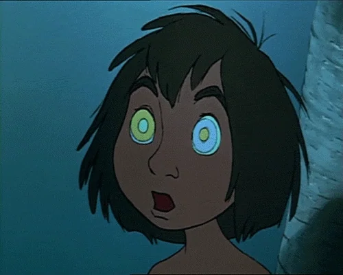 surprised GIF