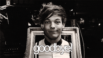 Louis Tomlinson Goodbye GIF