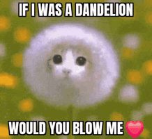 Rock Love GIF