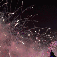 London Celebrates New Decade With World-Class Fireworks Display