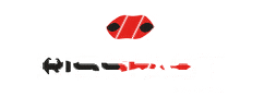 Team Africa Sticker by Iriss-Fast