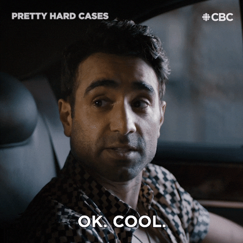 TV gif. Al Mukadam as Detective Nazeer in Pretty Hard Cases, uninvested, says "ok cool," moving on briskly.
